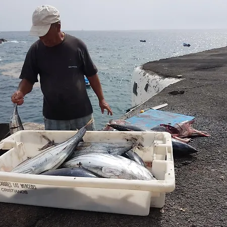 Tuna Lejlighed Puerto de Santiago (Tenerife)